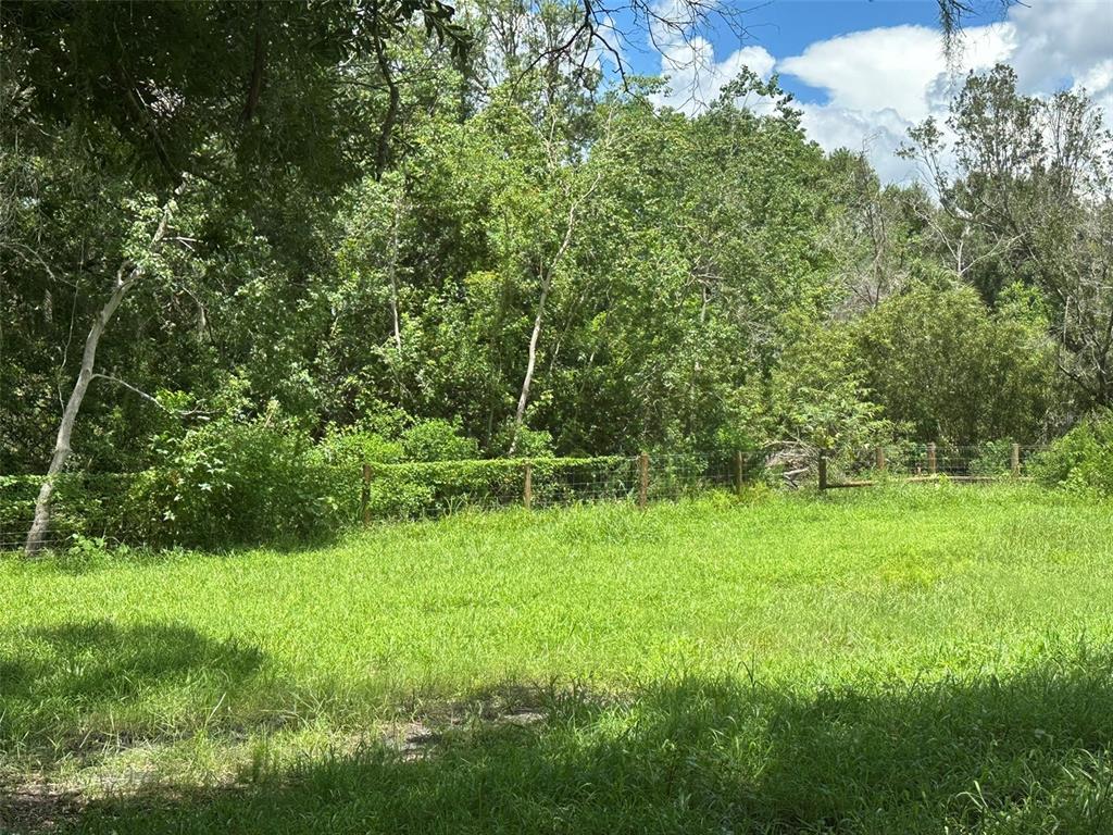 1676 HERMOSA DRIVE, PALM HARBOR, FL — photo 4 of 98