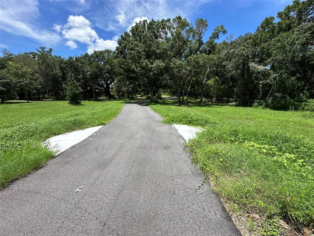 1676 HERMOSA DRIVE, PALM HARBOR, FL — photo 5 of 98