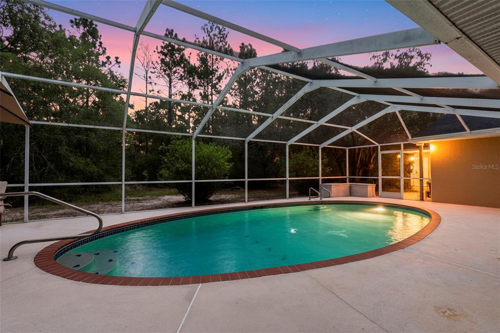 An oval swimming pool sits inside a screened-in patio enclosure with a brick border — 17131 DALBERG DRIVE, SPRING HILL, FL