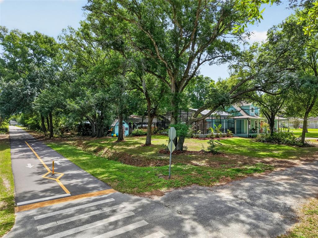 A screened-in pool area features a rock waterfall, slide, and patio furniture under an umbrella — 250 N WALKER STREET, OAKLAND, FL