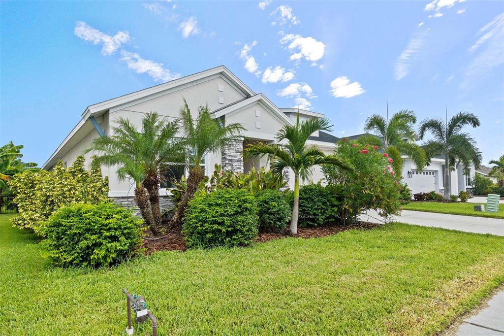 A single-story house with a light-colored exterior, stone accents, and palm trees in the front yard — 11822 CHEVELON LANE, PARRISH, FL
