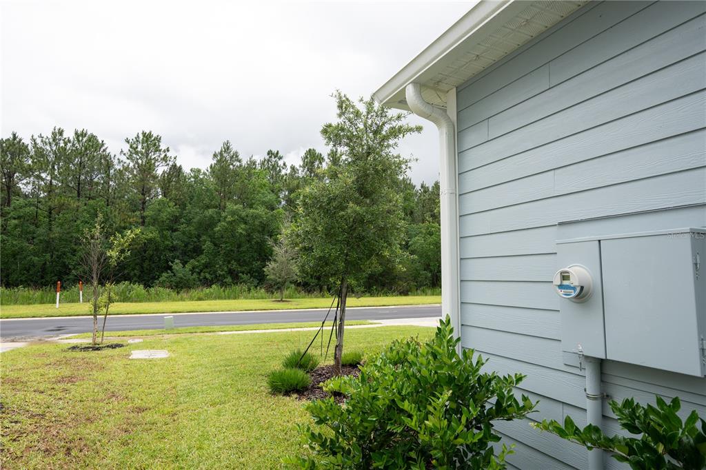 A view of a light blue house exterior, a small tree, and a road with trees — 782 SILVER LANDING DRIVE, ST AUGUSTINE, FL
