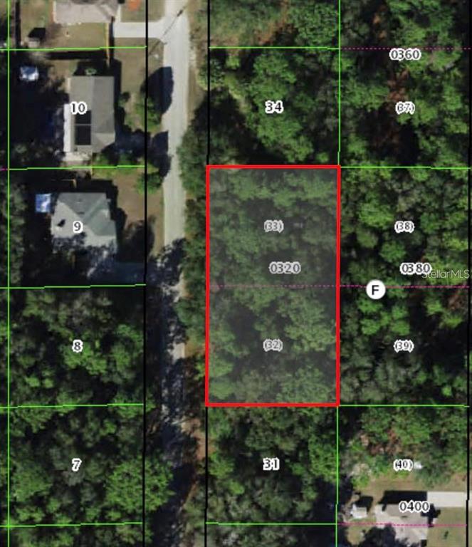 This is an aerial map showing a rectangular, wooded parcel of land outlined in red — 8646 N DISCALFANI LOOP, CRYSTAL RIVER, FL