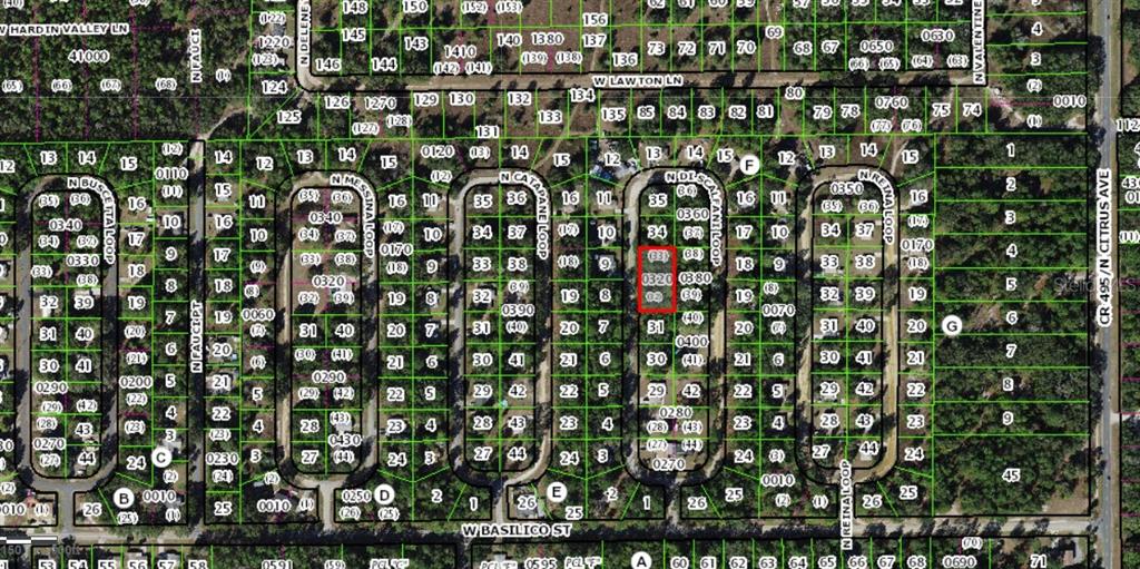 This is a map showing property lot lines and parcel numbers in a residential neighborhood — 8646 N DISCALFANI LOOP, CRYSTAL RIVER, FL