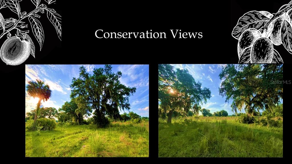 Two side-by-side photos show a grassy field with large trees under a blue sky — 5501 SW 125TH CIRCLE, ARCHER, FL