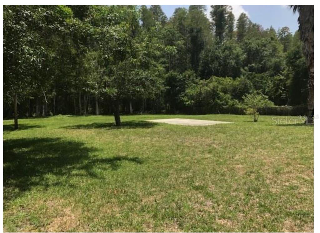 A grassy backyard features a concrete pad surrounded by mature trees and dense woods — 14969 OGDEN LOOP, ODESSA, FL