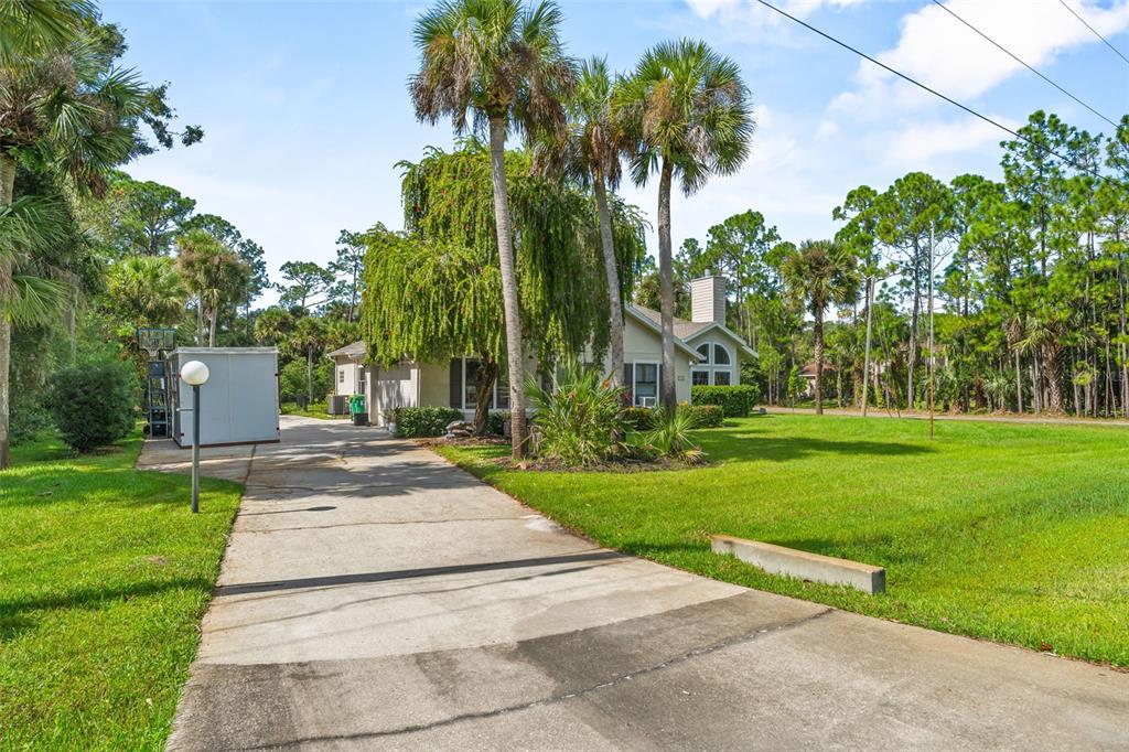 A concrete driveway leads to a single-story house surrounded by palm trees and green lawn — 5560 BOB WHITE TRAIL, MIMS, FL