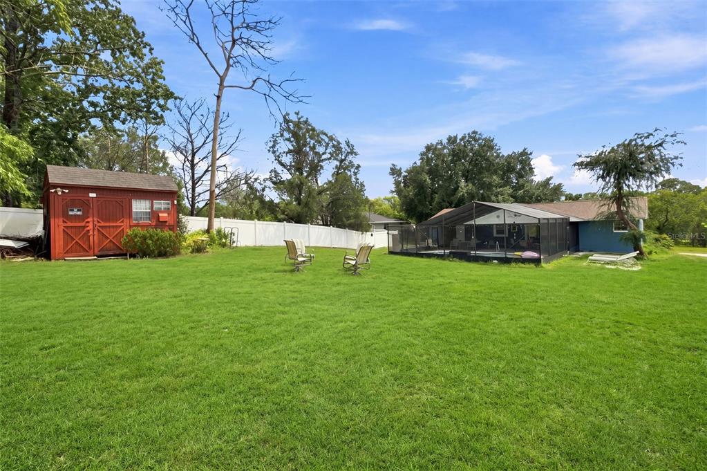 A backyard featuring a grassy lawn, a red storage shed, and a screened-in swimming pool — 12411 BROOKSIDE STREET, SPRING HILL, FL