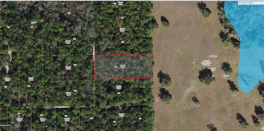 This is a map showing a rectangular parcel of land outlined in red — 5099 N WHETSTONE POINT, CRYSTAL RIVER, FL