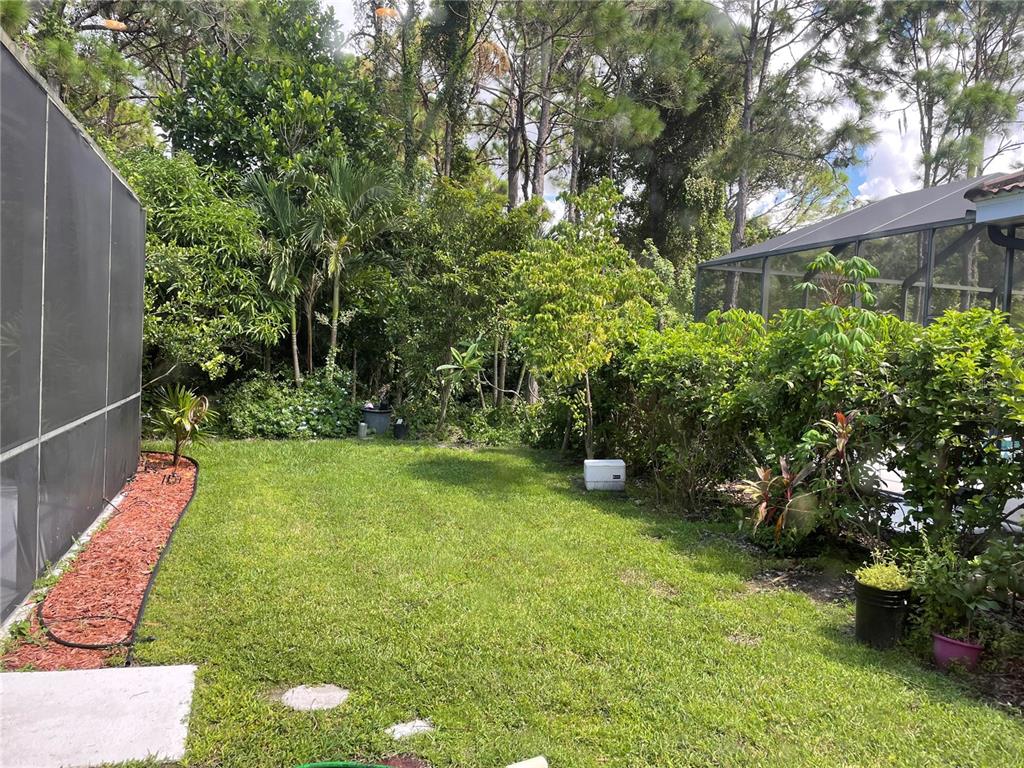 A grassy backyard features a screen enclosure, landscaping, and tall trees — 759 FORDINGBRIDGE WAY, OSPREY, FL