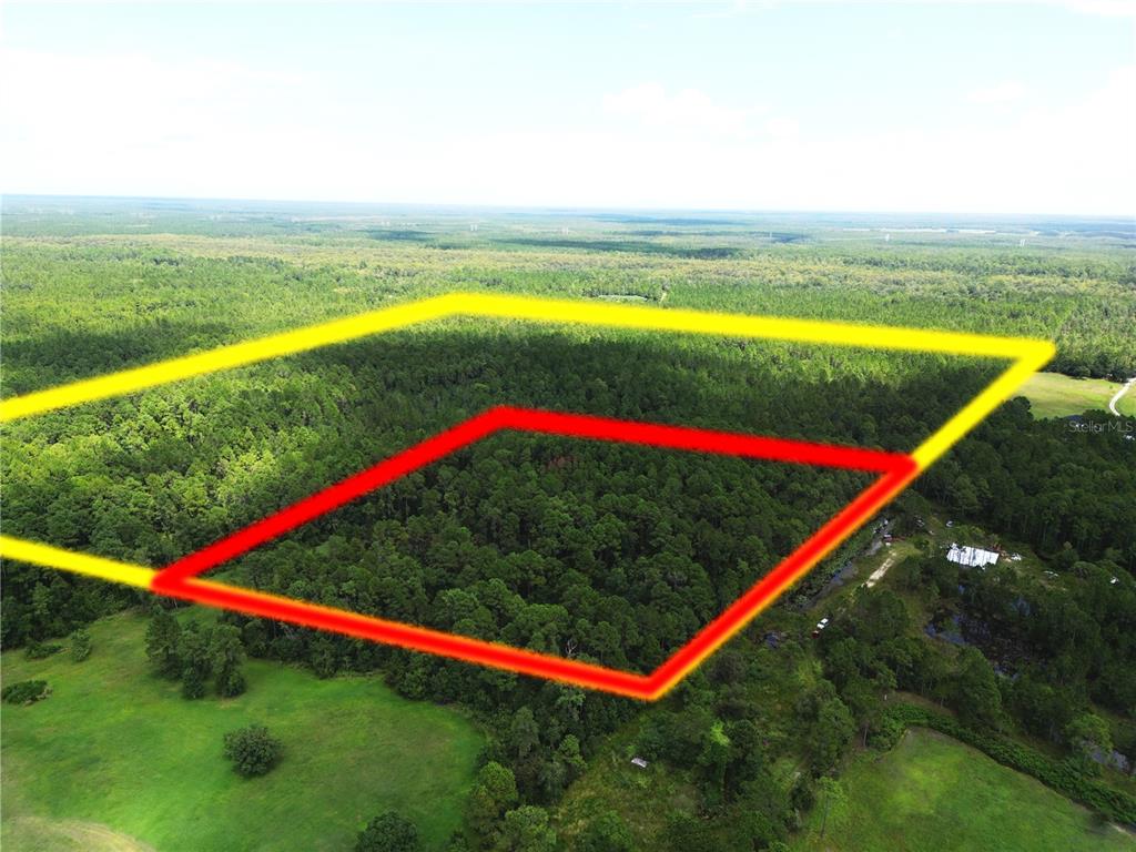 An aerial view shows a large, forested plot of land outlined in yellow and red — CADEHILL DRIVE, DELTONA, FL