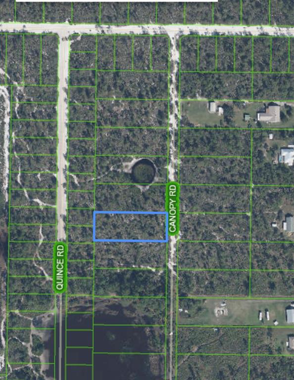 An aerial map shows a rectangular vacant lot outlined in blue between two dirt roads — 5907 CANOPY ROAD, SEBRING, FL