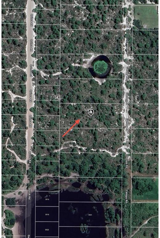 An aerial map view shows a wooded residential lot located between two dirt roads — 5907 CANOPY ROAD, SEBRING, FL