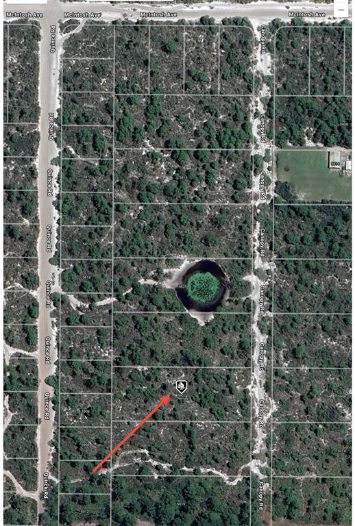 This aerial map shows a wooded residential lot with a red arrow pointing to the property — 5907 CANOPY ROAD, SEBRING, FL