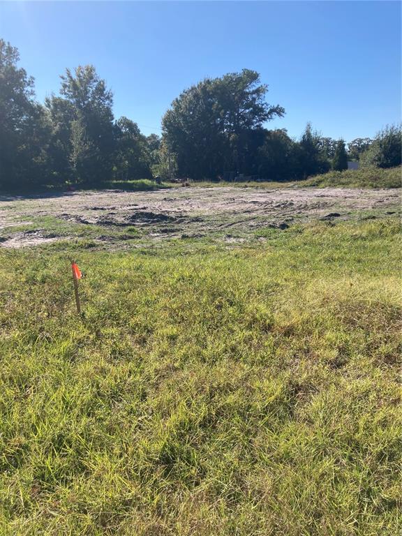 A vacant, cleared lot with grass in the foreground and trees in the background — 6277 TOWER ROAD, LAND O LAKES, FL