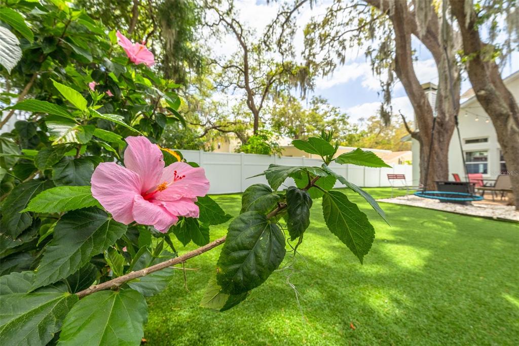A backyard with artificial turf, large oak trees, a patio area, and a white fence — 901 VIRGINIA AVENUE, TARPON SPRINGS, FL