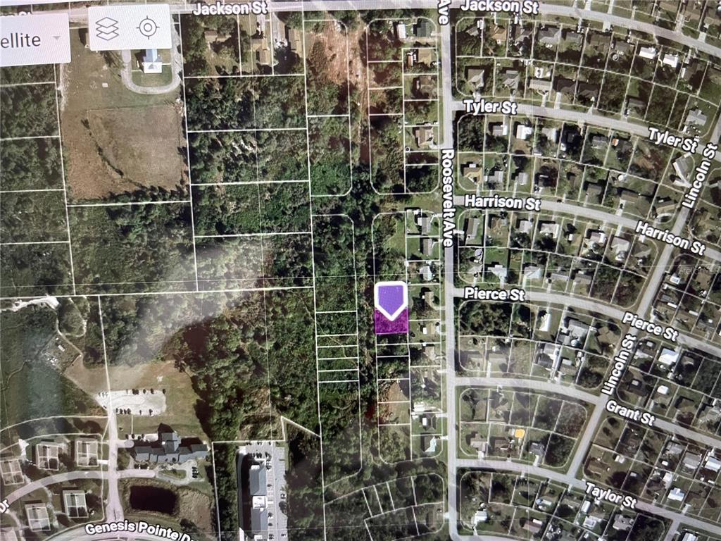 This is a satellite map showing a highlighted parcel of land near Roosevelt Avenue — ROOSEVELT AVENUE, LAKE WALES, FL