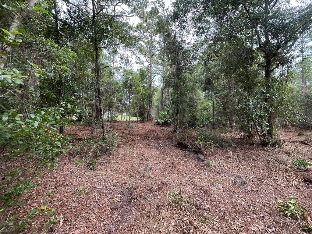 A dirt road leads through a grassy lot with trees and a mobile home nearby — 122 GLENSIDE STREET, GEORGETOWN, FL
