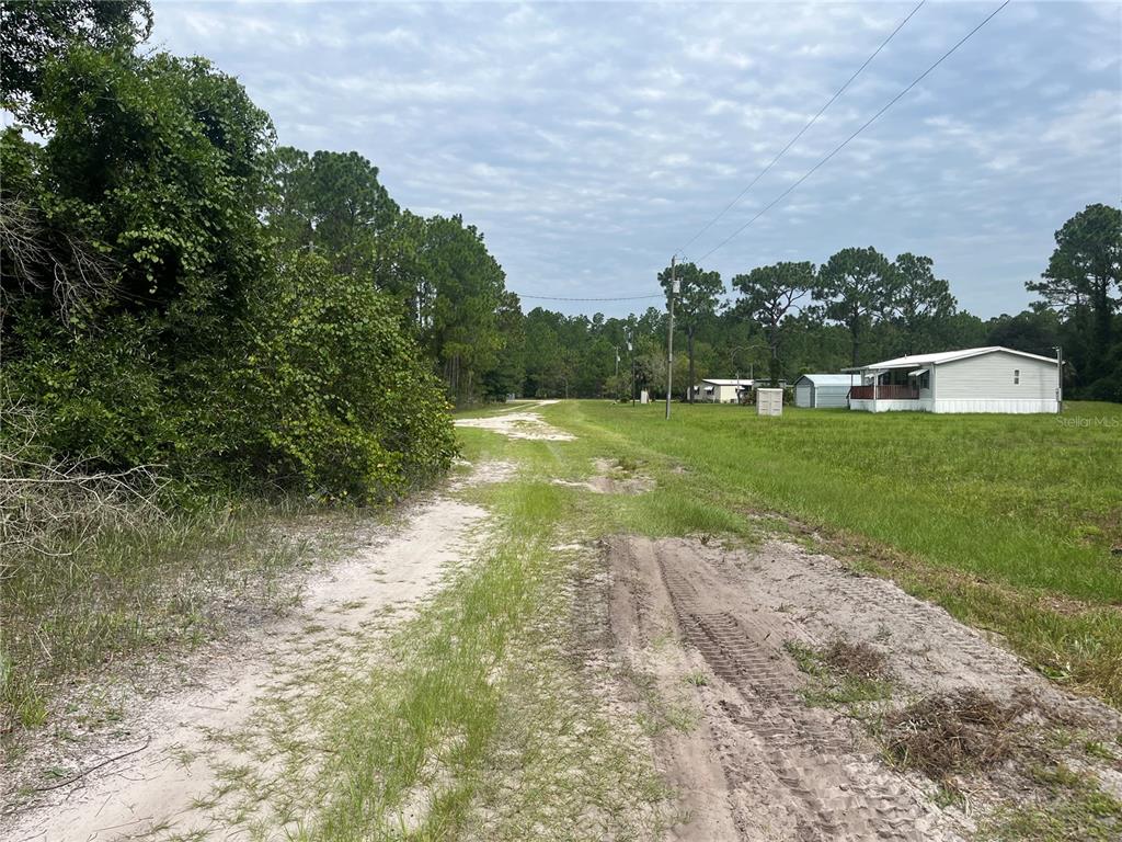 A view of a wooded lot with a sandy foreground and dense green trees — 122 GLENSIDE STREET, GEORGETOWN, FL