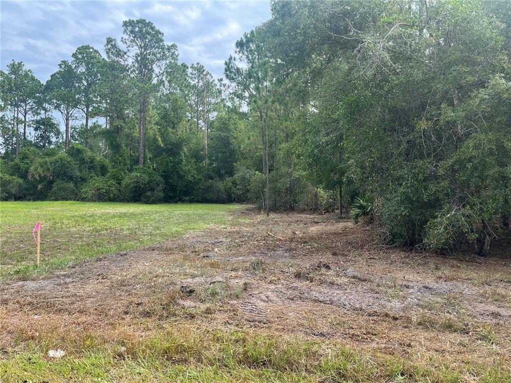 A view of a cleared, grassy lot bordered by dense trees and palmetto bushes — 122 GLENSIDE STREET, GEORGETOWN, FL