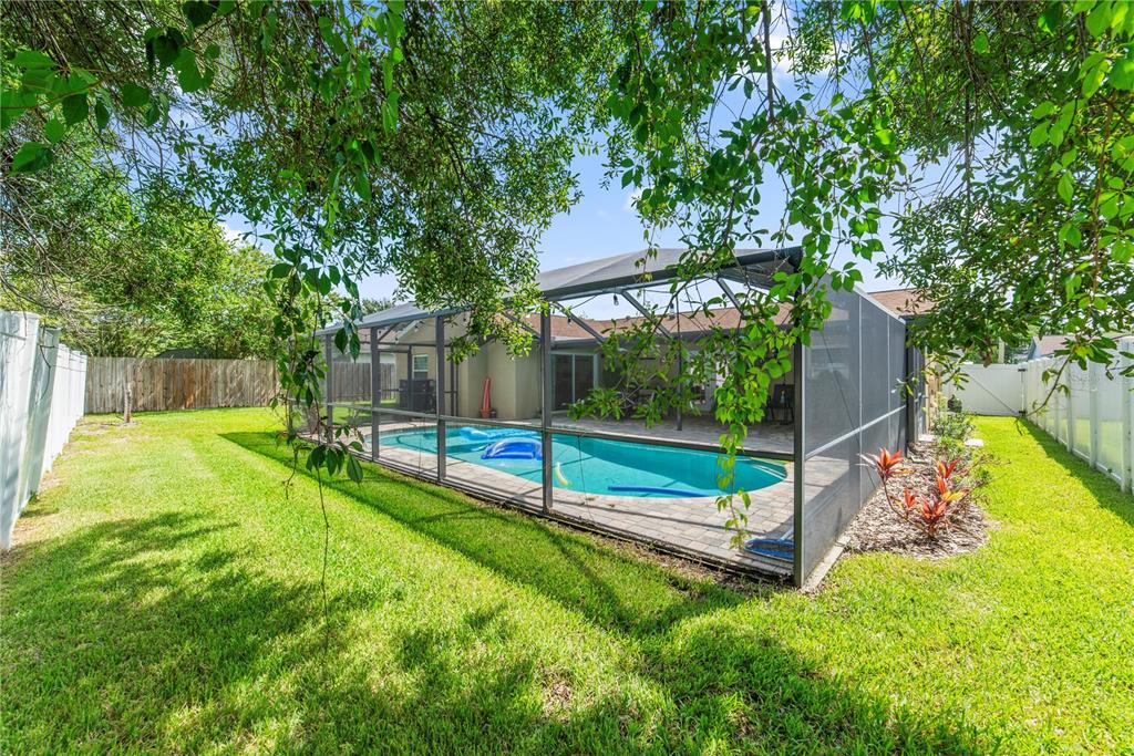 A backyard with a screened-in swimming pool, a paved patio, and a grassy lawn — 1003 RED OAK CIRCLE, BRANDON, FL