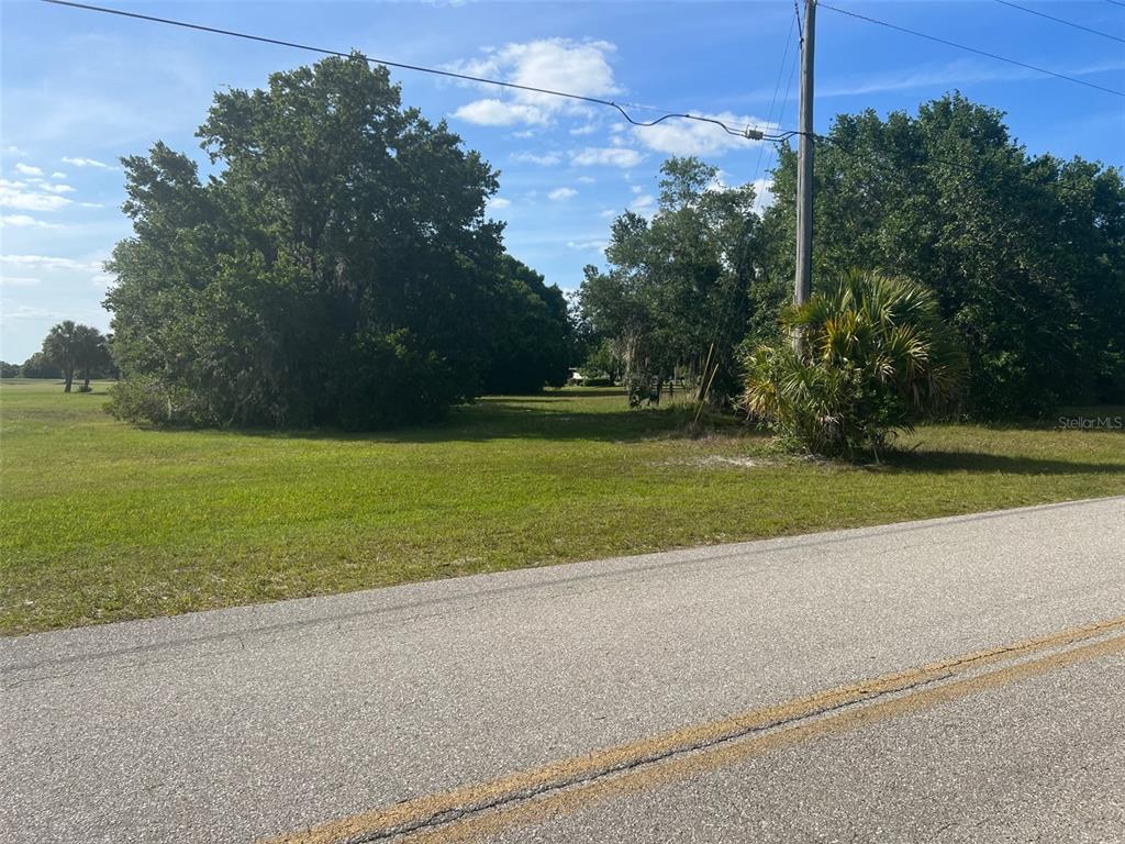 A grassy, vacant lot with trees and a utility pole borders a paved road — 8104 SW LIVERPOOL ROAD, ARCADIA, FL