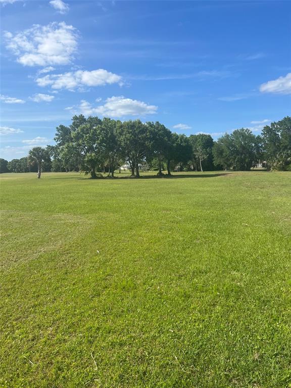 A large, flat, grassy field features a cluster of trees under a bright blue sky — 8104 SW LIVERPOOL ROAD, ARCADIA, FL