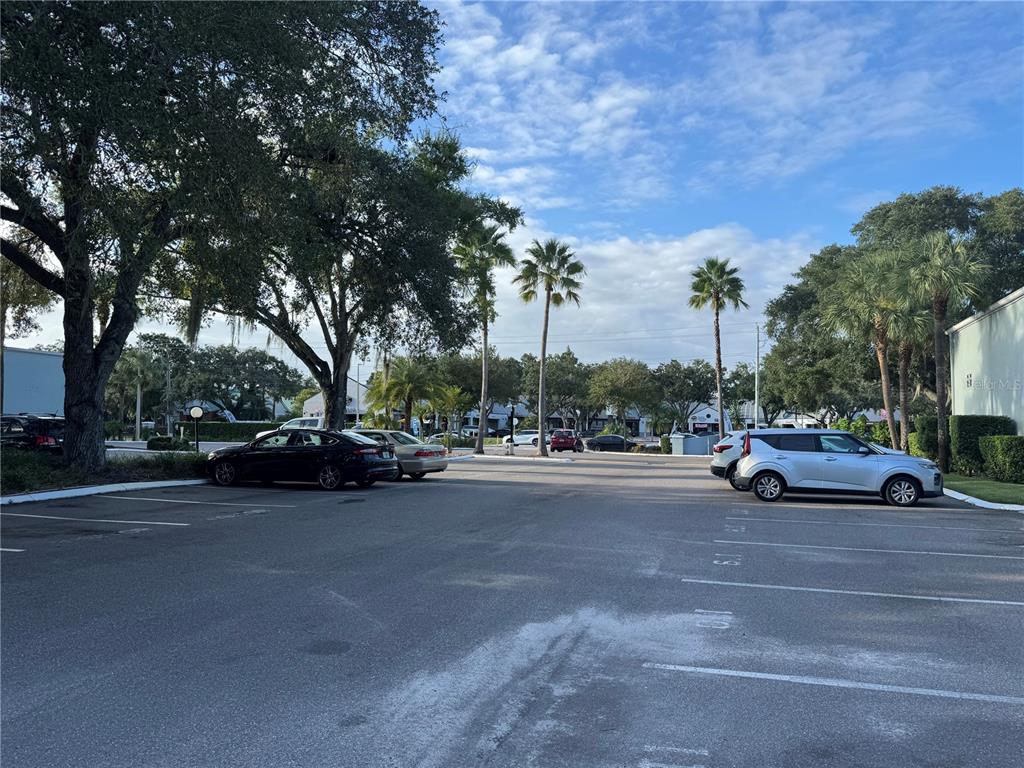 2884 SOMERSET PARK DRIVE UNIT 2907, TAMPA, FL — photo 5 of 30