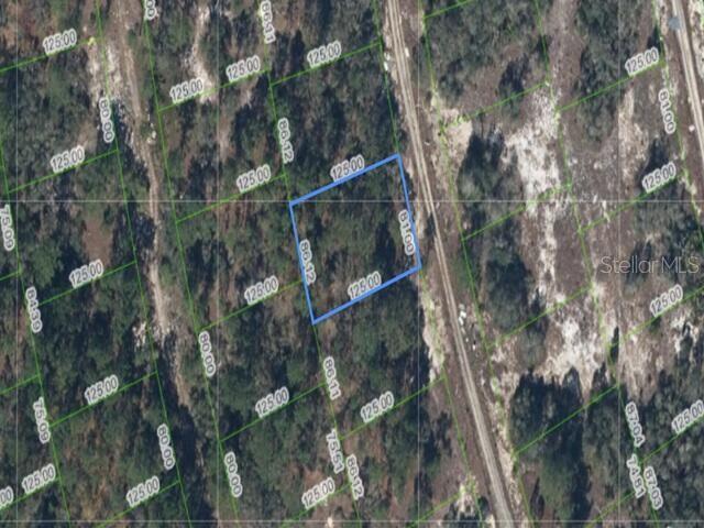 214 ISLAND MIST DRIVE, LAKE PLACID, FL — photo 2 of 2