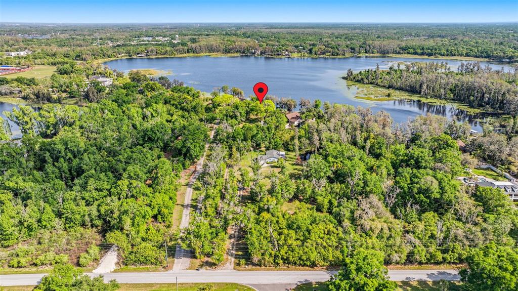 An aerial view shows a wooded property with a house and driveway near a lake — DEBUEL ROAD, LUTZ, FL