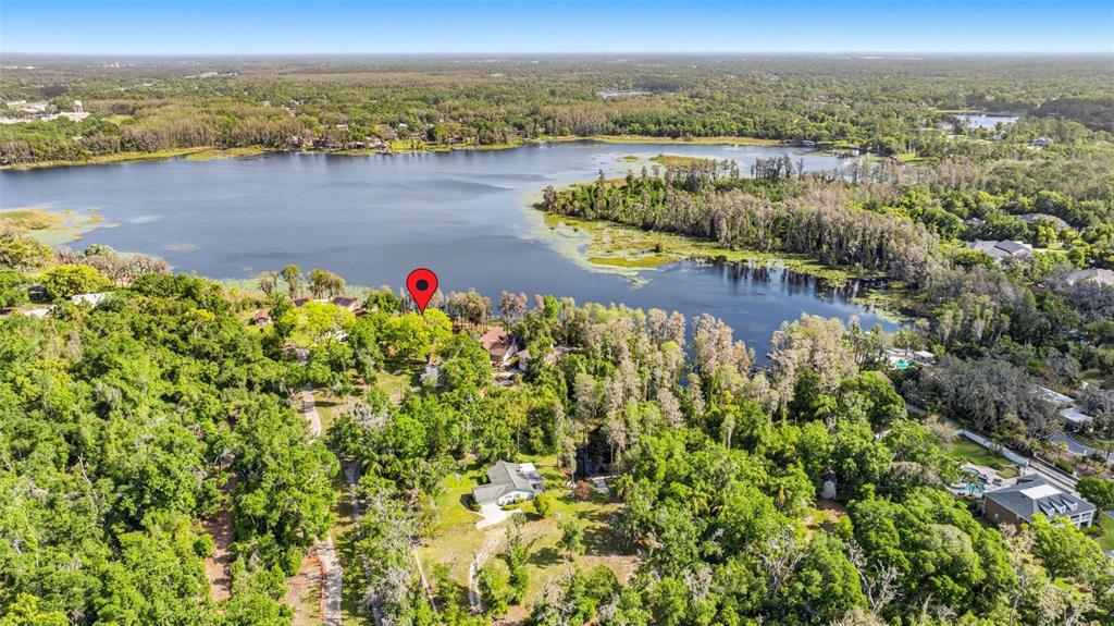An aerial view shows a house nestled in a wooded area beside a large lake — DEBUEL ROAD, LUTZ, FL