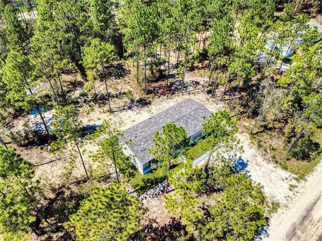 An aerial view shows a rectangular house with a shingled roof surrounded by pine trees — 660 NE 131 AVENUE, WILLISTON, FL