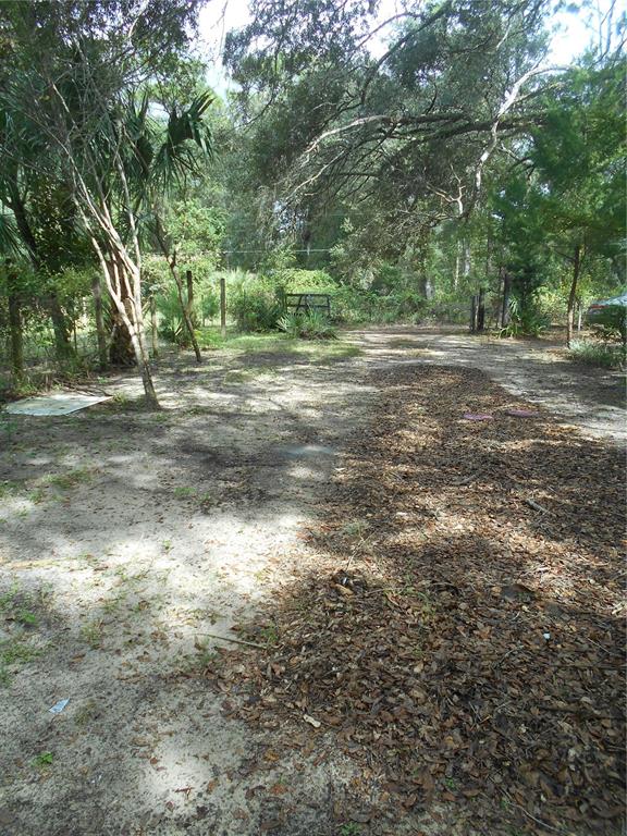 A dirt driveway leads through a wooded area with scattered leaves and a wire fence — 20425 NE 143RD STREET, SALT SPRINGS, FL