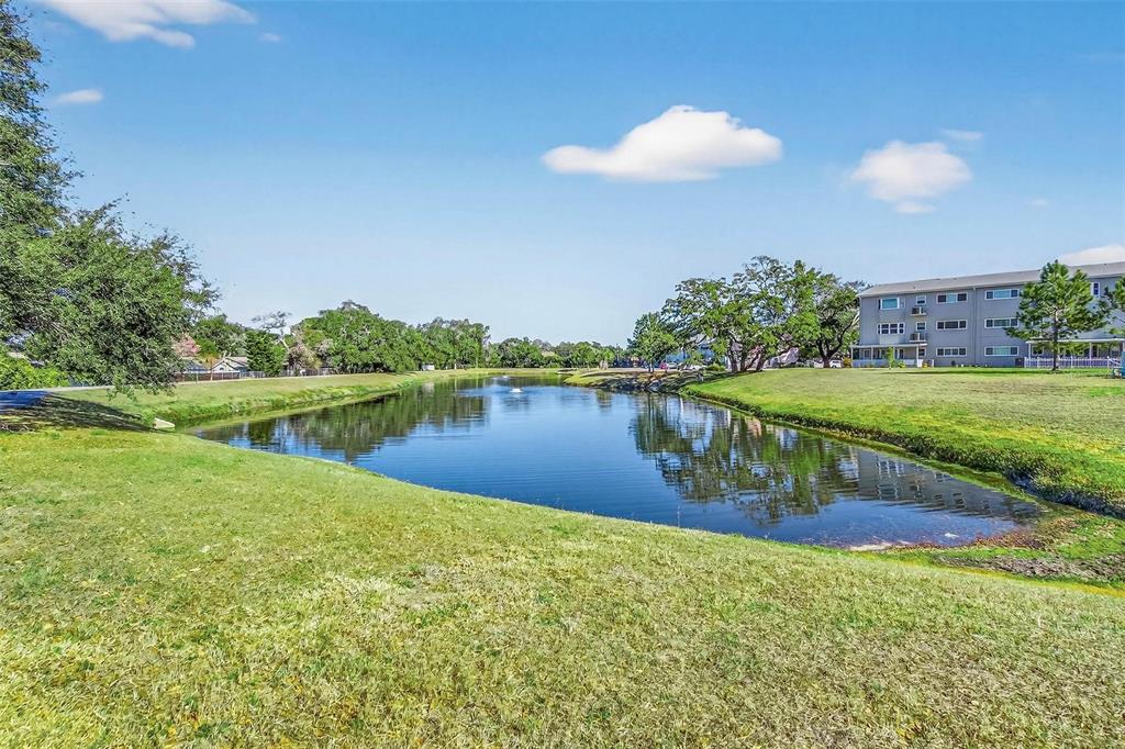2220 SWEDISH DRIVE UNIT 56, CLEARWATER, FL — photo 2 of 18