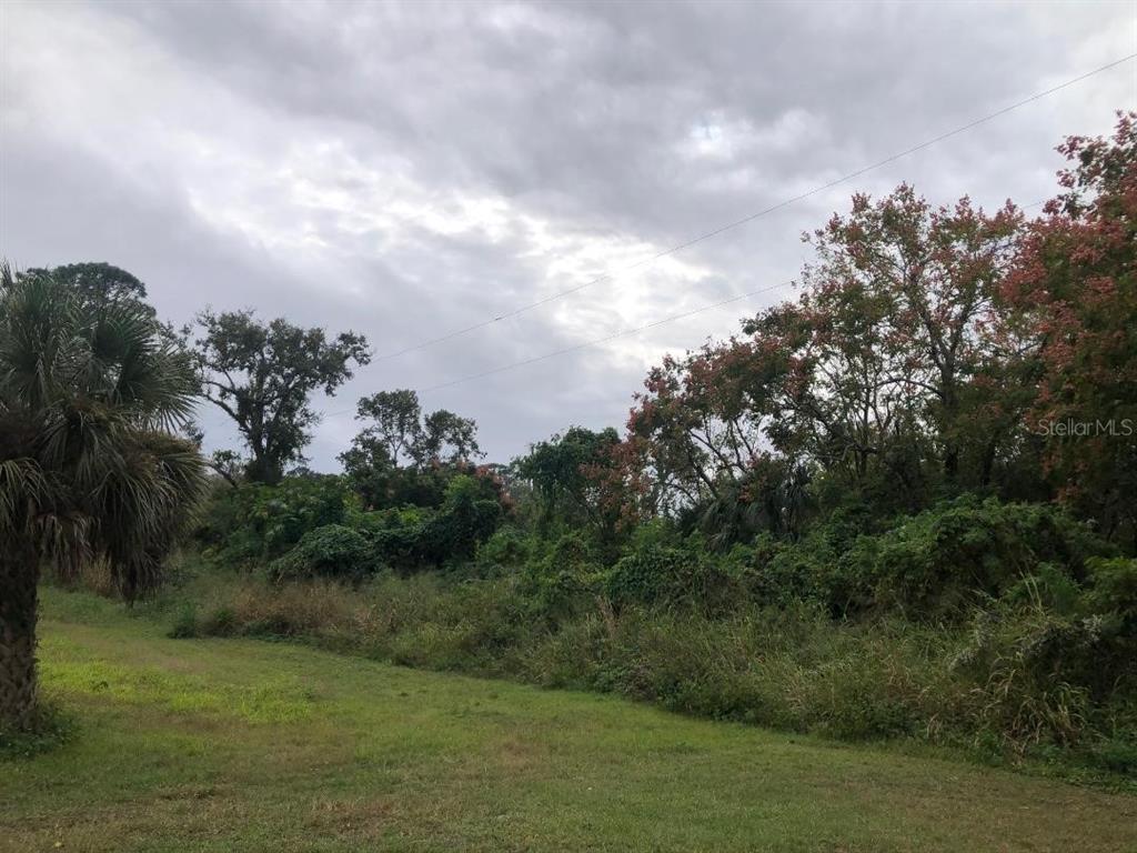 A grassy yard leads to a dense area of trees and overgrown vegetation under a cloudy sky — VIRGINIA DRIVE, ALTAMONTE SPRINGS, FL