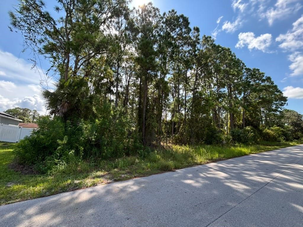 449 HOLIN AVENUE SW, PALM BAY, FL — photo 4 of 5