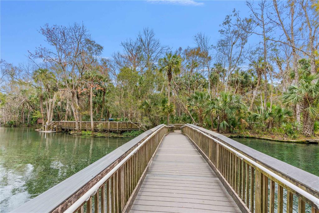 A wooden footbridge spans a clear spring surrounded by lush trees and vegetation — 26 E KELLY PARK ROAD, APOPKA, FL