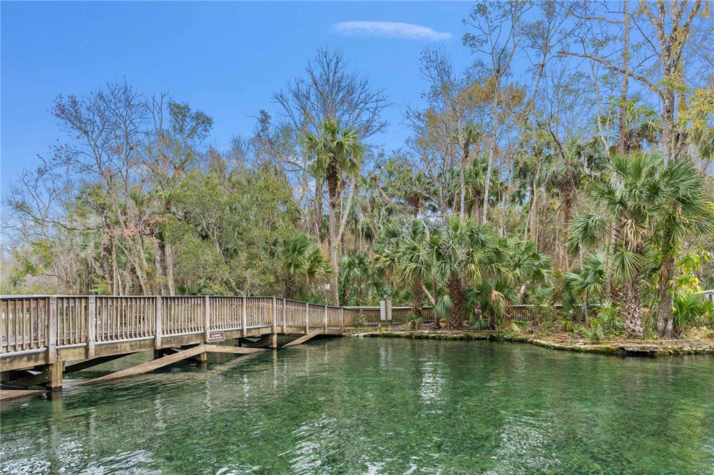 A wooden footbridge spans a clear, spring-fed pool surrounded by lush trees and palm plants — 26 E KELLY PARK ROAD, APOPKA, FL