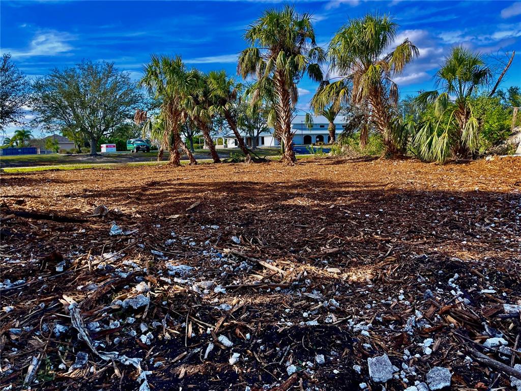 A vacant, wood-mulched lot features several palm trees under a bright blue sky — 4114 PALM DRIVE, PUNTA GORDA, FL