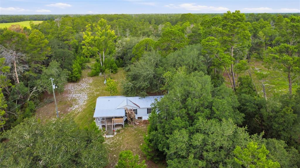 An aerial view shows a small house with a metal roof surrounded by dense trees — 39913 SWIFT ROAD, EUSTIS, FL