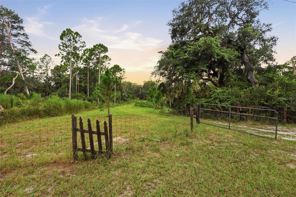 A wire fence with a metal gate opens onto a grassy path through a wooded area — 39913 SWIFT ROAD, EUSTIS, FL
