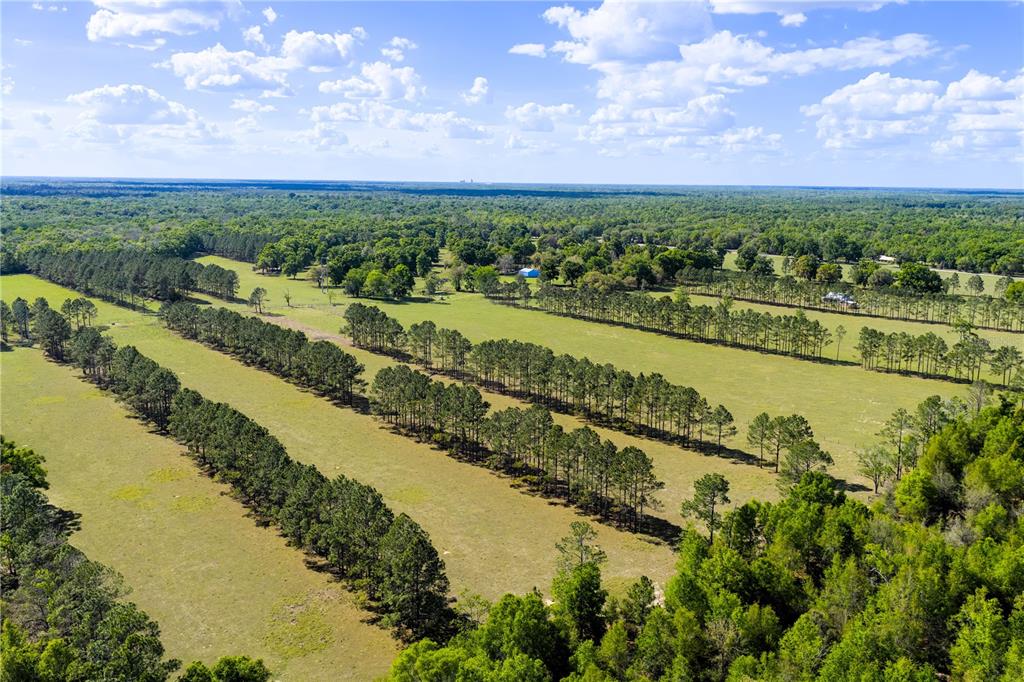 4639 SW WILSON SPRINGS ROAD, FORT WHITE, FL — photo 4 of 30