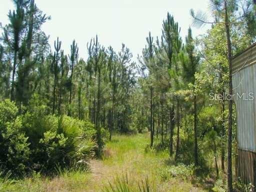 323 OLD BUBBLY ROAD, PIERSON, FL — photo 3 of 3