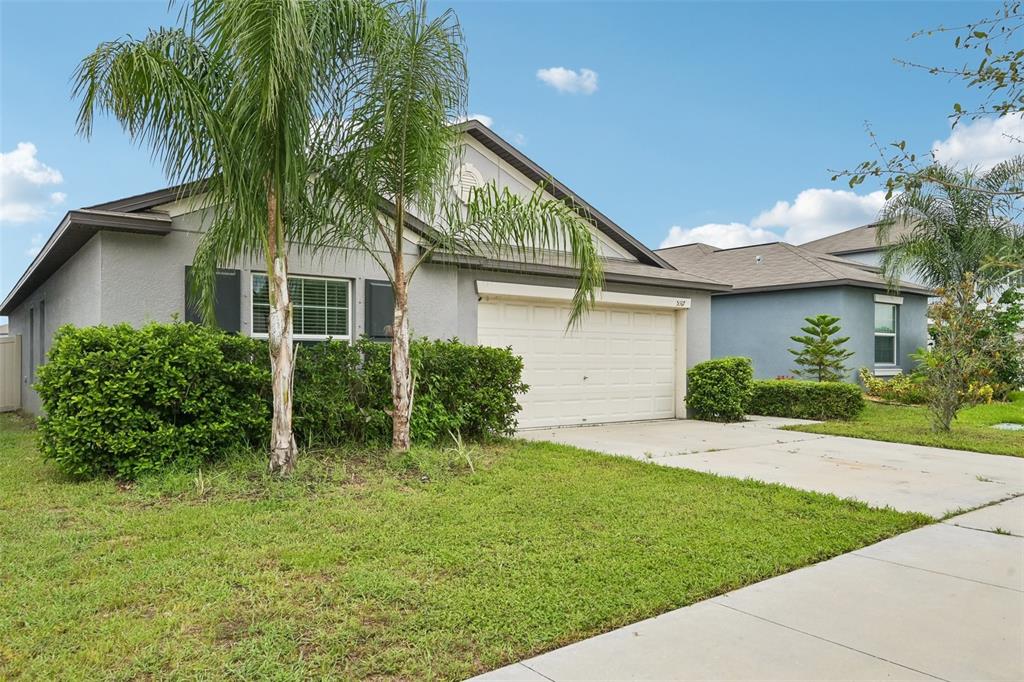 5517 BLUE AZURE DRIVE, WIMAUMA, FL — photo 3 of 30