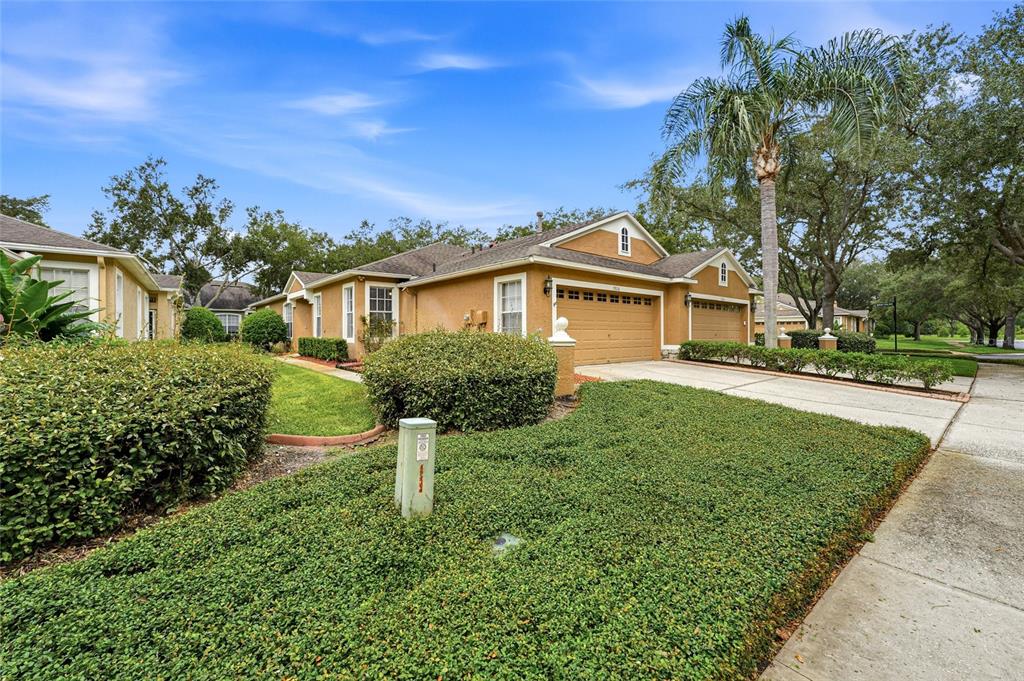 19126 WHITE WING PLACE, TAMPA, FL — photo 3 of 30