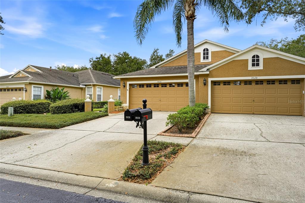 19126 WHITE WING PLACE, TAMPA, FL — photo 4 of 30