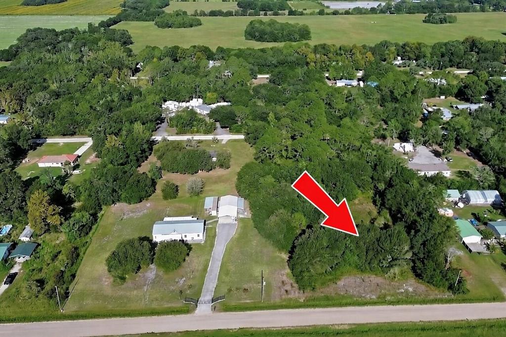 An aerial view shows a large, wooded residential lot with a red arrow pointing toward it — 325 GARDEN LANE, BUNNELL, FL