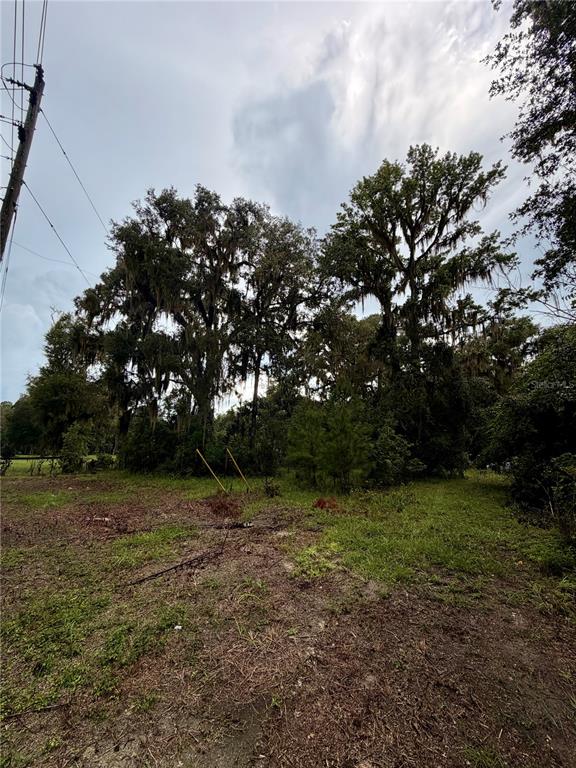 12602 SW WILLISTON ROAD, MICANOPY, FL — photo 2 of 21
