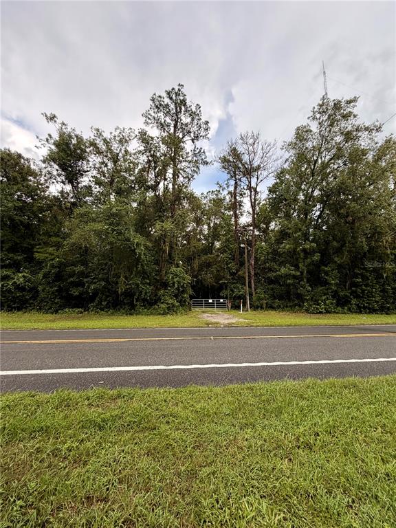 12602 SW WILLISTON ROAD, MICANOPY, FL — photo 5 of 21