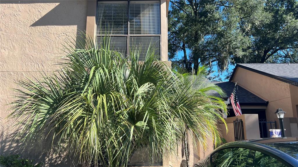 940 DOUGLAS AVENUE UNIT 172, ALTAMONTE SPRINGS, FL — photo 2 of 30